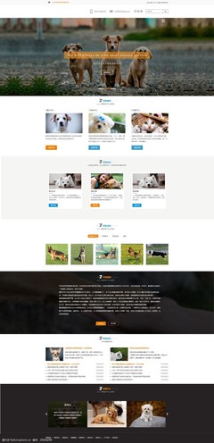 萌宠之家 打造用户喜爱的宠物网页设计模板指南